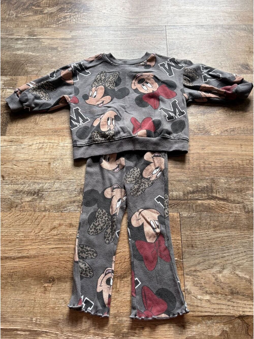 Disney Minnie Mouse Toddler Girl Fleece Outfit Set Set Size 18M Gray